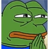pepe the little frog 17