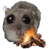 Hamster Sad 3 💖C☆ 17