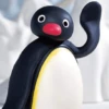 pingüino penguin 😎 14