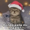 Gatitos Navidad 8