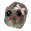 Hamster Sad 4 💖C☆ 14