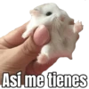 Así me tienes