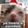 Gatitos Navidad 9