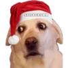 Memes Navideños 🎄🎅 7 19