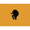 Cat 23