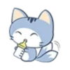 Gatito travieso🐱💞1🇵🇪Clásica 20