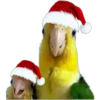 Memes de Natal 3 13