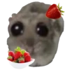 Hamster Sad 4 💖C☆ 15