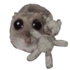 Hamster Sad 4 💖C☆ 16