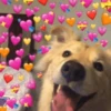 Mood de Amor 💕💕 8