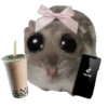 Hamster Sad 4 💖C☆ 17