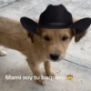 Mami, soy tu vaquero 🤠 8