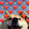 Mood de Amor 💕💕 9