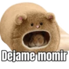 Dejame momir