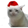 Memes de Natal 21
