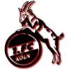 Bundesliga 9