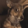 Mood Random 8