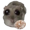 Hamster Sad 4 💖C☆ 18