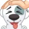 Perro loco🐕‍🦺💞1🇵🇪Clásica 24