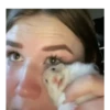 Hamsters 20
