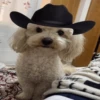 Mami, soy tu vaquero 🤠 9