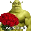 Shrek Faces Stickers 2 20