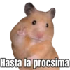 Hasta la procsima