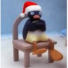 pingüino penguin 😎 21