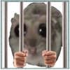 Hamster Sad 3 💖C☆ 20