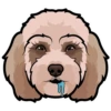 Eeyore 14