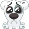 Perro loco🐕‍🦺💞1🇵🇪Clásica 27