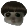 Hamster Sad 4 💖C☆ 23