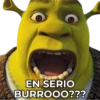 Shrek Faces Stickers 2 23