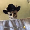 Mami, soy tu vaquero 🤠 11