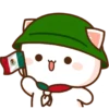 Viva Mexico🇲🇽gatitos🇲🇽 18