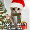 Gatitos Navidad 10