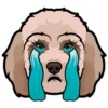 Eeyore 16