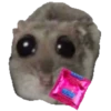 Hamster Sad 3 💖C☆ 24