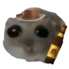 Hamster Sad 4 💖C☆ 24