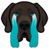 Charles 9