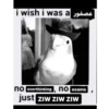 omg12341234 25