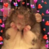 Mood de Amor 💕💕 13