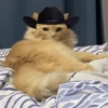 Mami, soy tu vaquero 🤠 12