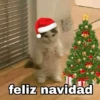 Gatitos Navidad 11