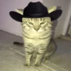 Mami, soy tu vaquero 🤠 13