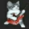 Shitpost Gatuno 🤑 14