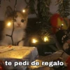 Gatitos Navidad 12