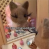 Sylvanian Drama 3 21