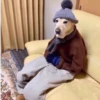 Perritos que tienen frío❄️✨ 14