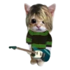 Guitar 14